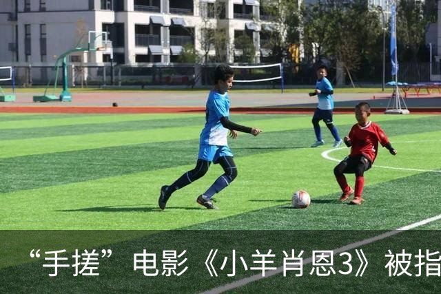 “手搓”电影《小羊肖恩3》被指单日票房仅两位数，有影院个别场次仅个位数观众观看，粉丝发文呼吁“救救小羊”