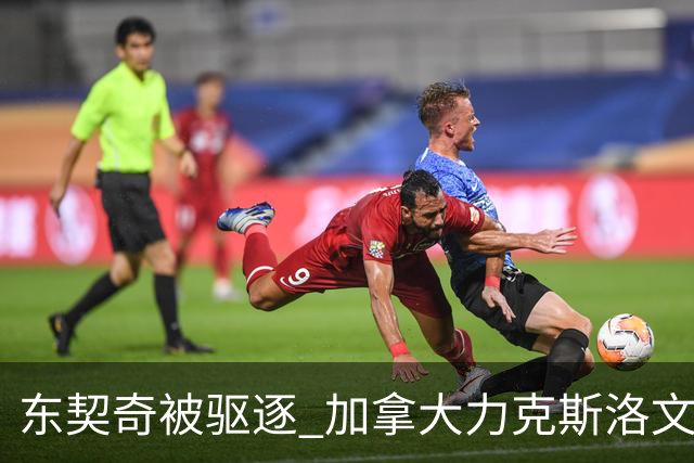 东契奇被驱逐 加拿大力克斯洛文尼亚晋级四强
