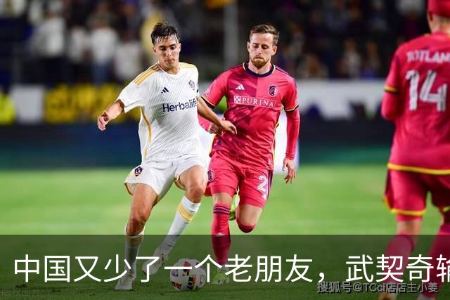 中国又少了一个老朋友，武契奇输了