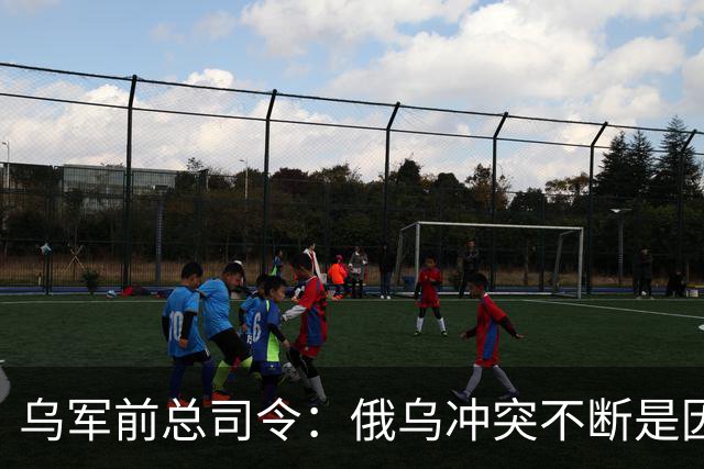 乌军前总司令：俄乌冲突不断是因为西方军事理论过时了，其仍以二战时期理论为基础，靠它来保护是种幻想