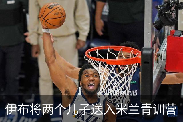 伊布将两个儿子送入米兰青训营 一个U17一个U15