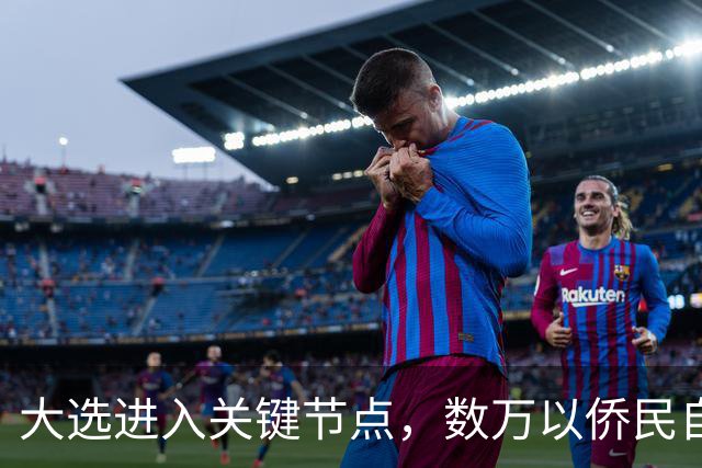 大选进入关键节点，数万以侨民自费回国，跨洋投票希望推翻现政府