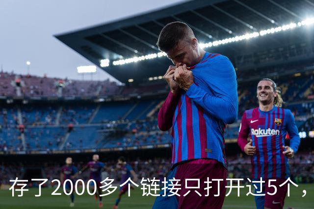存了2000多个链接只打开过5个，他干脆自己写了个工具