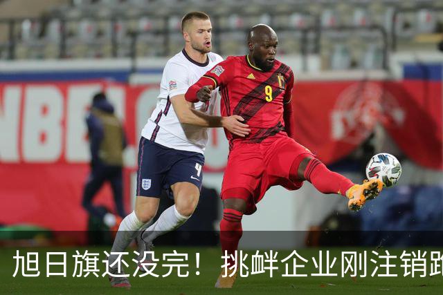 旭日旗还没完！挑衅企业刚注销跑路，又揪出5个跟风“一起披”的