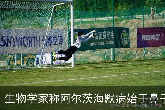 生物学家称阿尔茨海默病始于鼻子，研究指向感染与污染颗粒