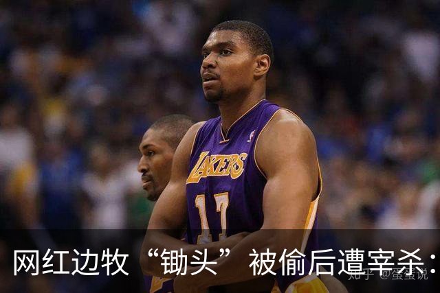 网红边牧“锄头”被偷后遭宰杀：主人接受和解，将全额捐出赔偿金
