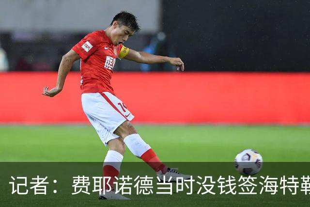 记者：费耶诺德当时没钱签海特勒伊达