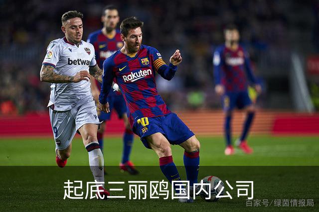 起底三丽鸥国内公司