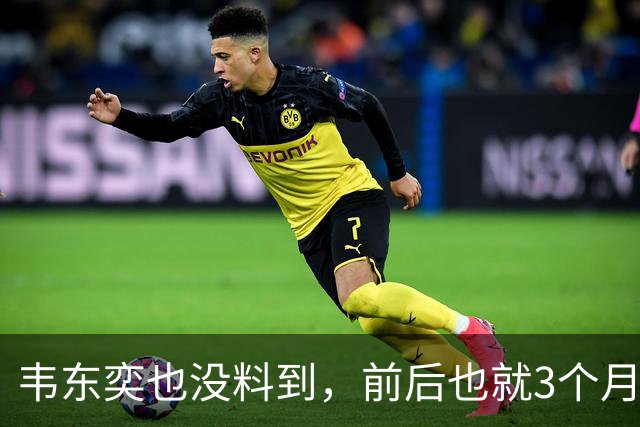 韦东奕也没料到，前后也就3个月，王虹竟再向学术界亮出“王牌”