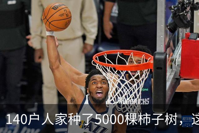140户人家种了5000棵柿子树，这个浙江小村国庆6天来了8万人