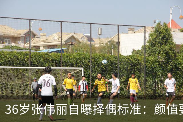 36岁张伟丽自曝择偶标准：颜值要抗打；她称最受不了误会她家暴，“打架是工作且从不加班”